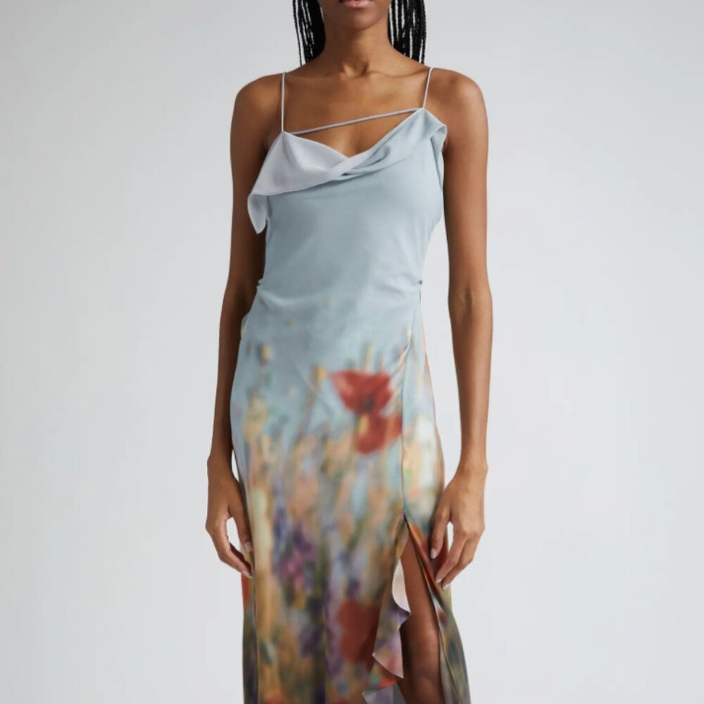 Acne Studios Delouise Blurry Meadow Chiffon Dress